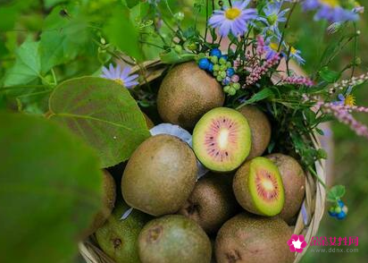 奇异果的功效与作用孕妇可以吃吗