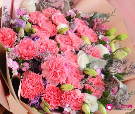 送老师送什么花好合适