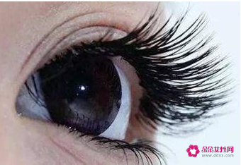 涂什么有助于眼睫毛生长