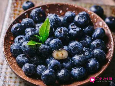 蓝莓直接吃吗