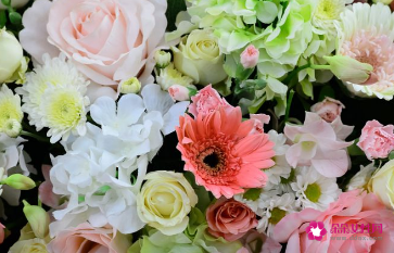 女生送男生花送什么好