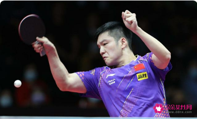 樊振东世乒热身赛夺冠