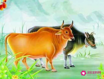 超级痴情的生肖男