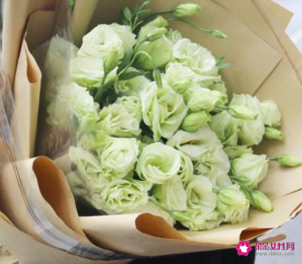 送老师送什么花好合适