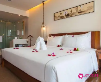 新手怎么开宾馆