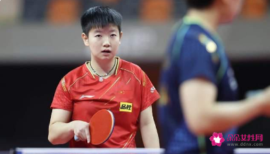 樊振东世乒热身赛夺冠