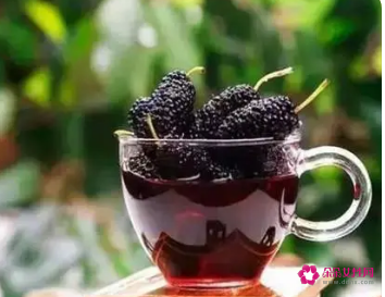 女人喝桑葚泡水喝好吗