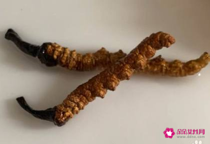 松茸煲汤最佳做法窍门