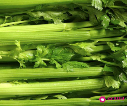 芹菜怎么保鲜时间长