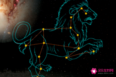 狮子女喜欢的男生类型