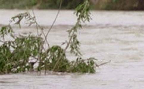 梦见洪水来了往高处跑是什么意思