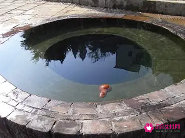 梦见井水有什么预兆