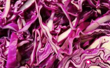 紫甘蓝的禁忌