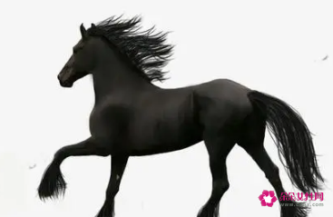 梦见骑大黑马是什么意思