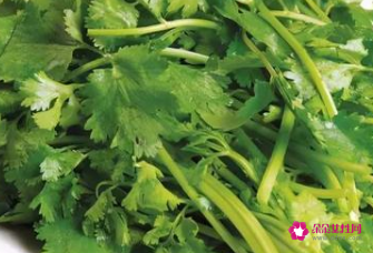 冬天蔬菜大量储存方法