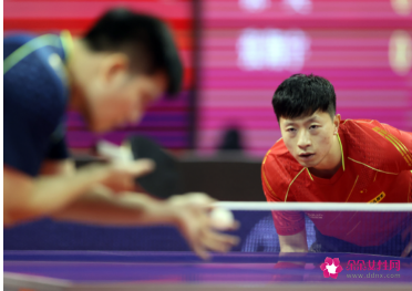 樊振东世乒热身赛夺冠