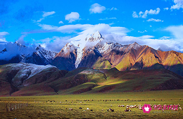 梦见奇幻的风景