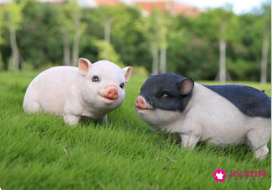 属猪人最苦命和最好命的出生月份