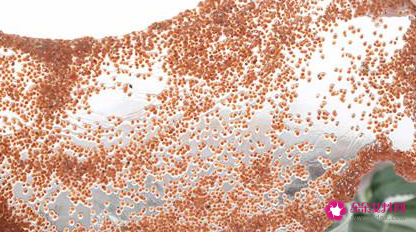 海藻面膜的功效和作用有哪些