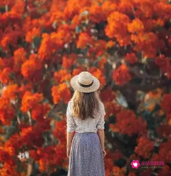 女人叫你哥哥的暗示