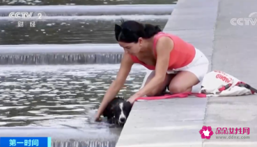 欧洲欲极端高温天气，多地山火蔓延