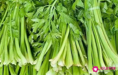 秋季时令蔬菜有哪些