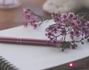 承包合同怎么写