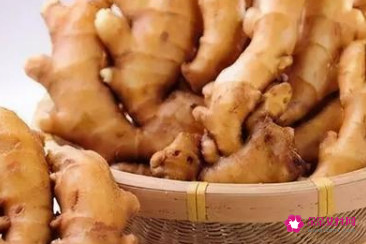 冬天蔬菜大量储存方法