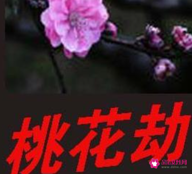 桃花劫已经发生了怎么破解