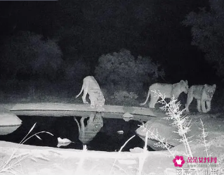 宁可听鬼哭不能听鬼笑