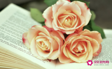 三分钟打动人心演讲稿