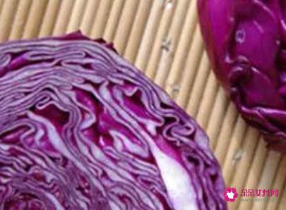 紫甘蓝的禁忌