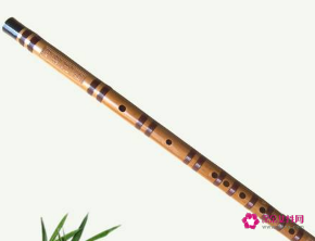 孩子适合学的乐器