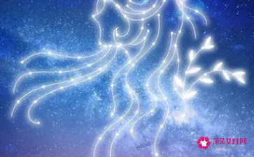 处女座对感情的态度是什么呢