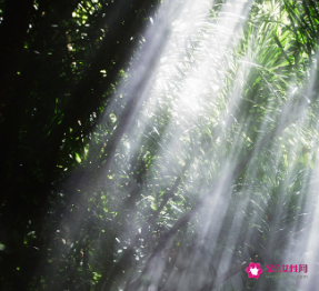 哪种食物能促进睡眠