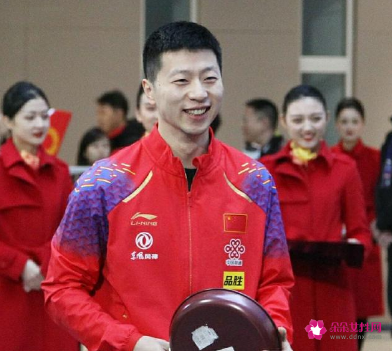樊振东世乒热身赛夺冠