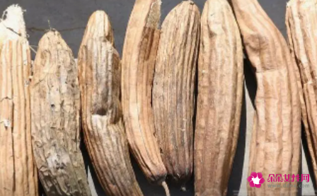 丝瓜怎么晒成干