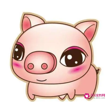 属猪男会离婚吗