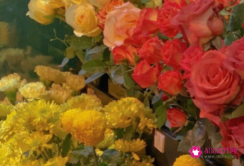 祝愿未来美好的句子