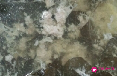 金钱草煲汤大全