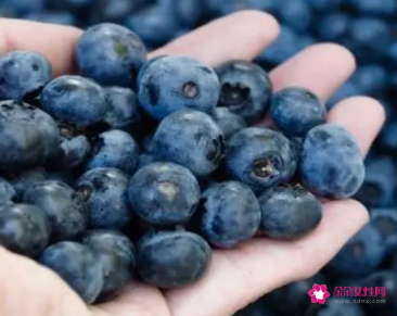 蓝莓直接吃吗