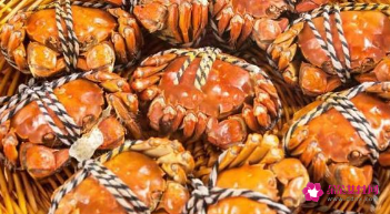 螃蟹的家常做法大全