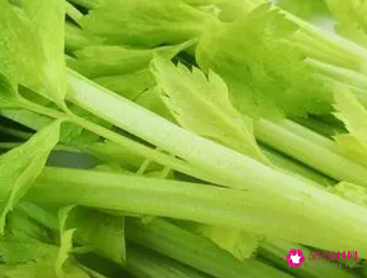 芹菜怎么保鲜时间长