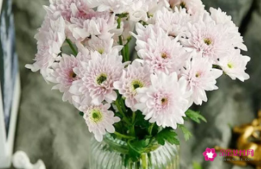 女生送男生花送什么好