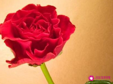 结婚18周年送什么给老婆