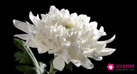 梦见自己老人去世是什么意思