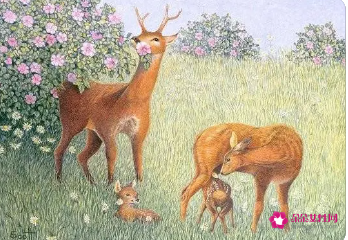 梦见灵鹿什么意思