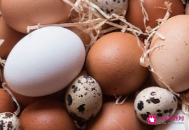 科学饮食的重要性