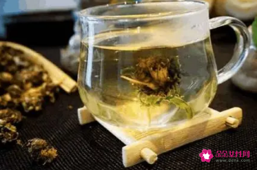 蒲公英泡水喝的禁忌哺乳期