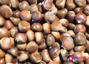 栗子怎么做好吃